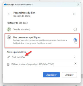 Capture d'écran paramètres du lien de partage OneDrive